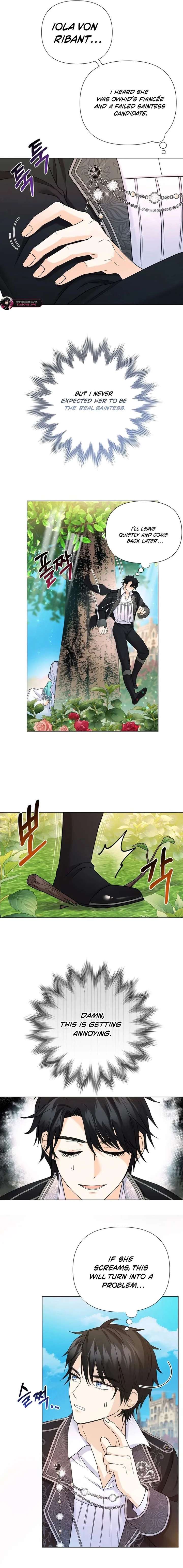 ch 6 8