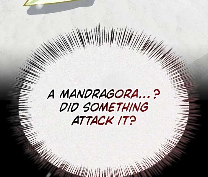 S-Class Hunter Heals with Monsters Chapter 24 532 009