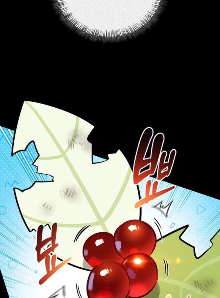 S-Class Hunter Heals with Monsters Chapter 24 594 071