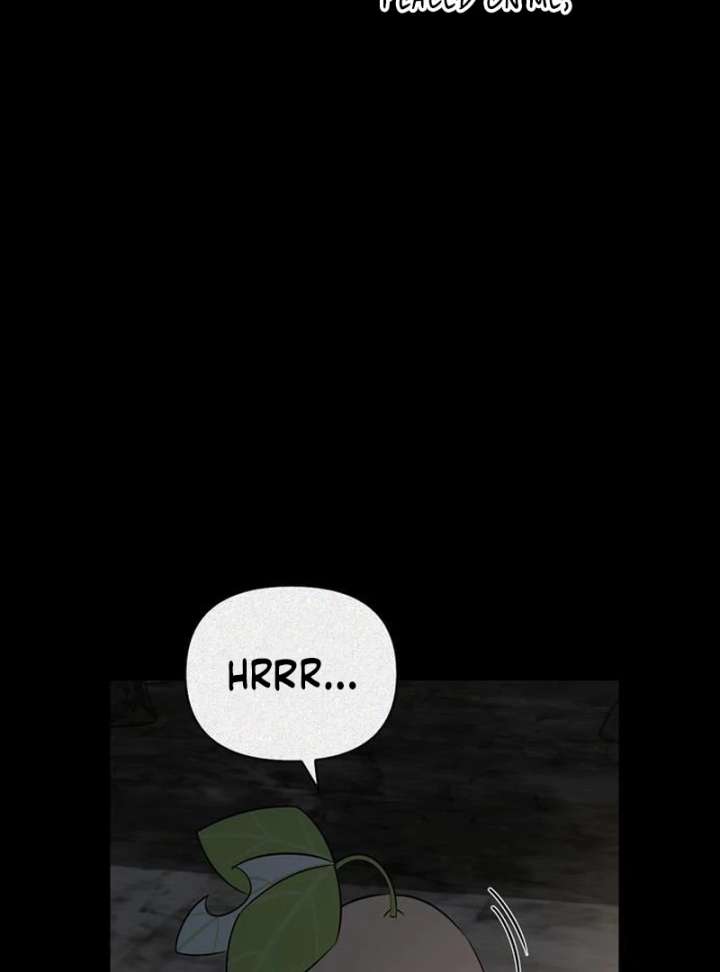 S-Class Hunter Heals with Monsters Chapter 24 640 117