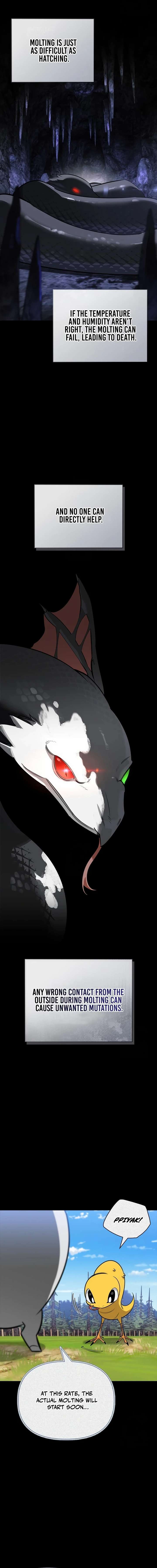 S-Class Hunter Heals with Monsters Chapter 29 74 10