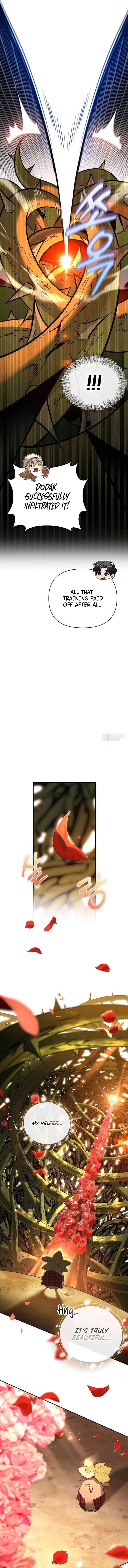 4c81f76242db 8