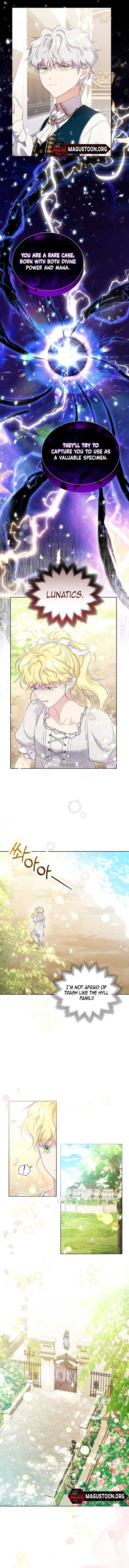 ch 11 11