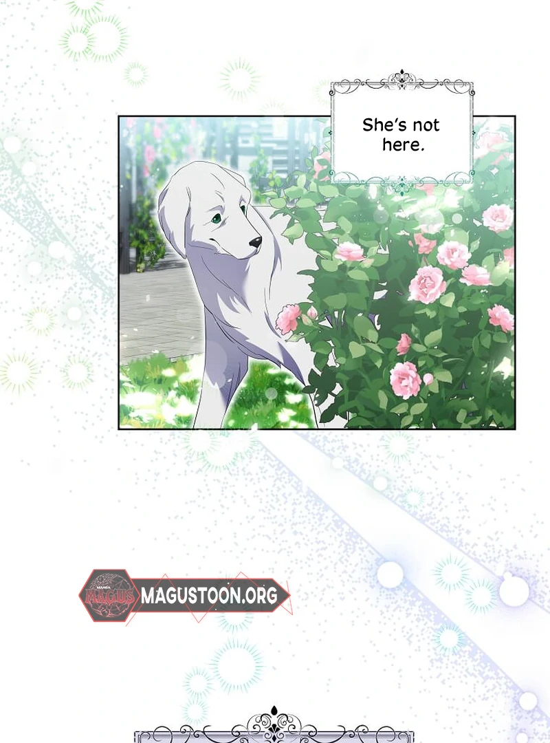 ch 13 100