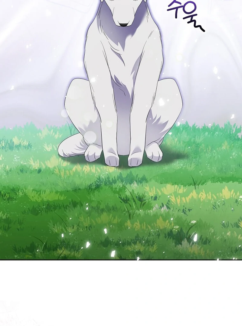 ch 13 102