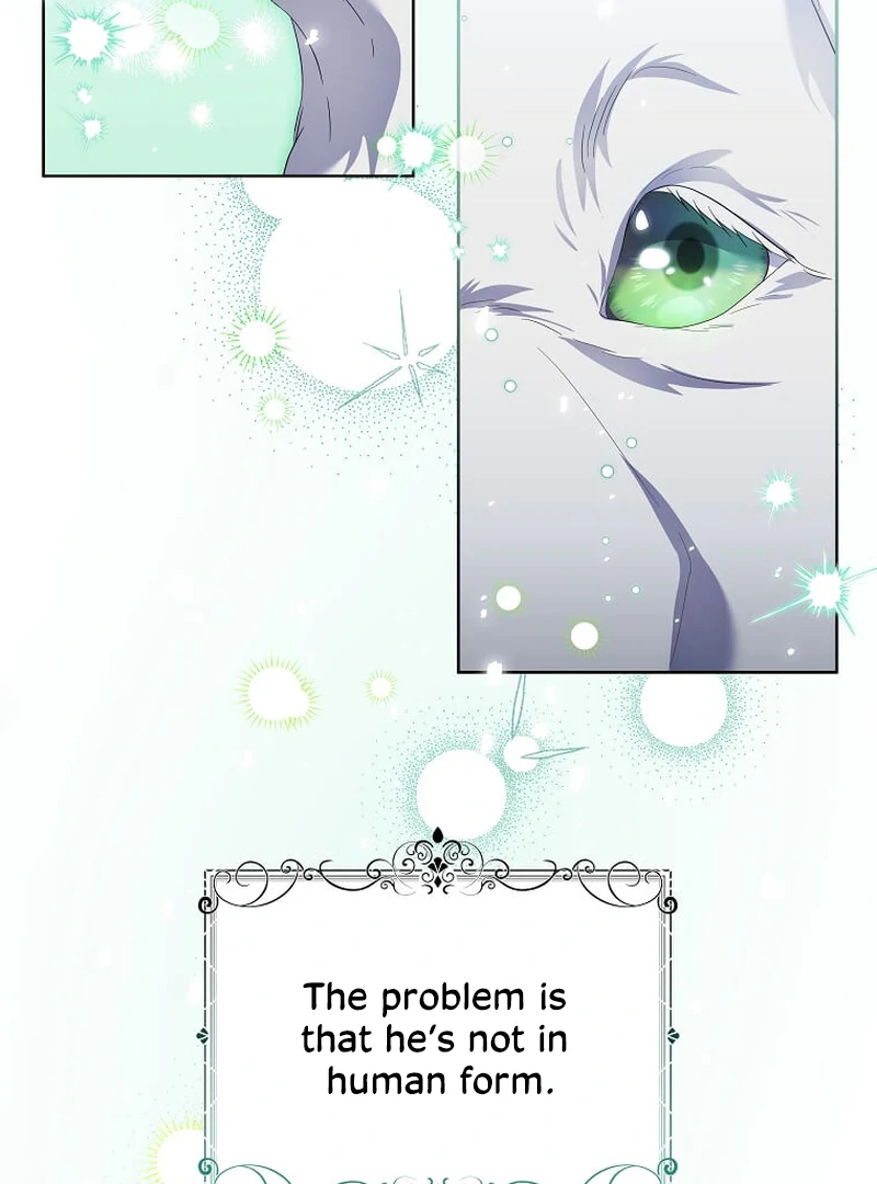 ch 13 88