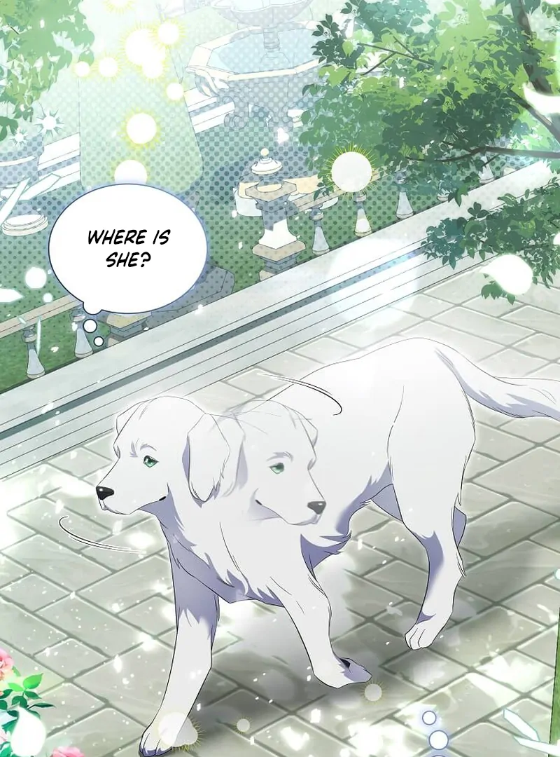 ch 13 97