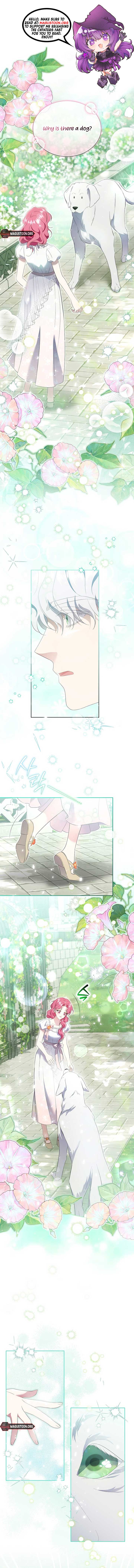 ch 14 1