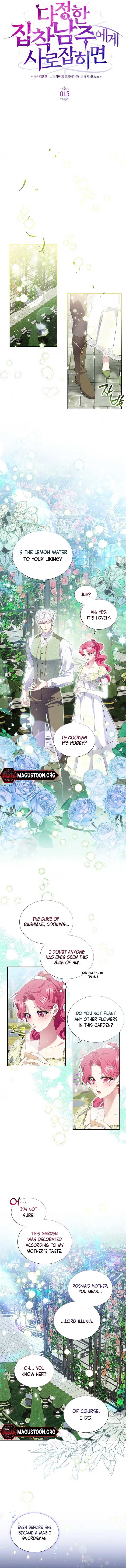 ch 15 6