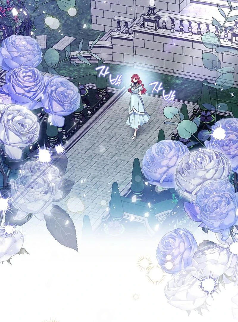 ch 16 75