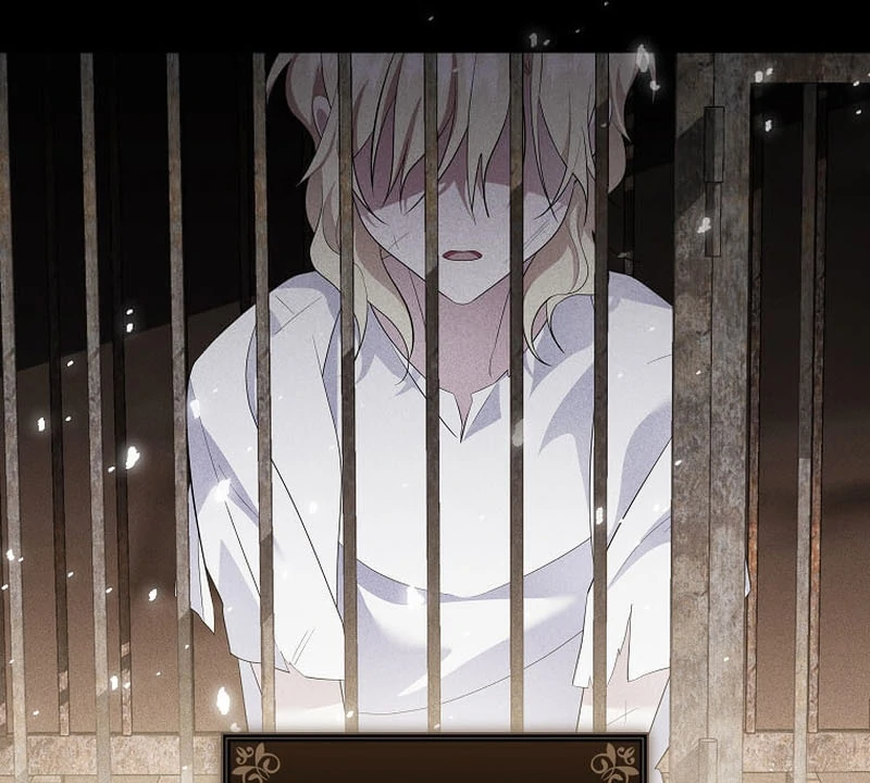 ch 17 16