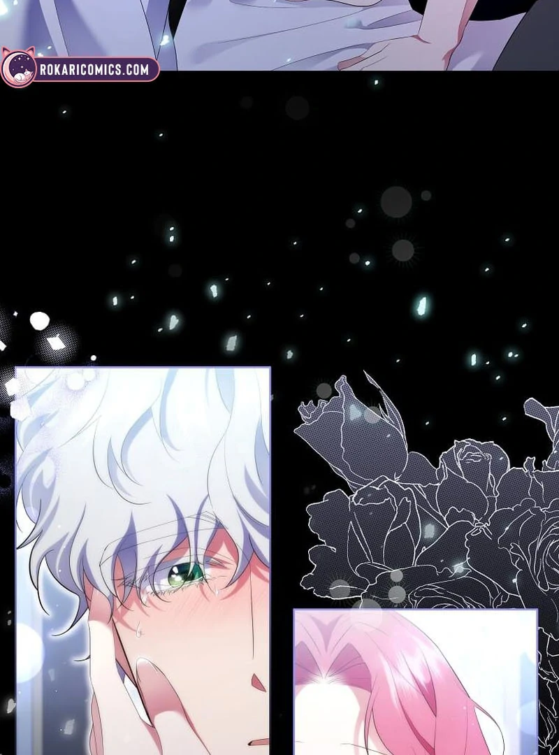 ch 17 96