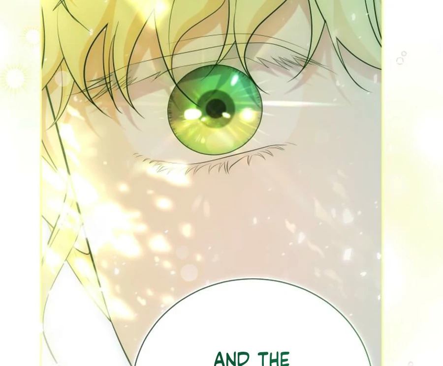 ch 19 12