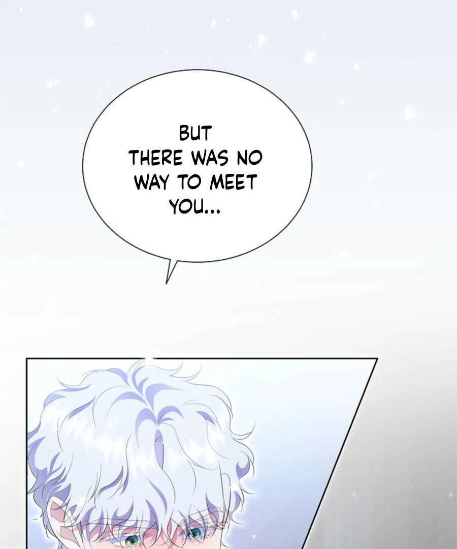 ch 19 42