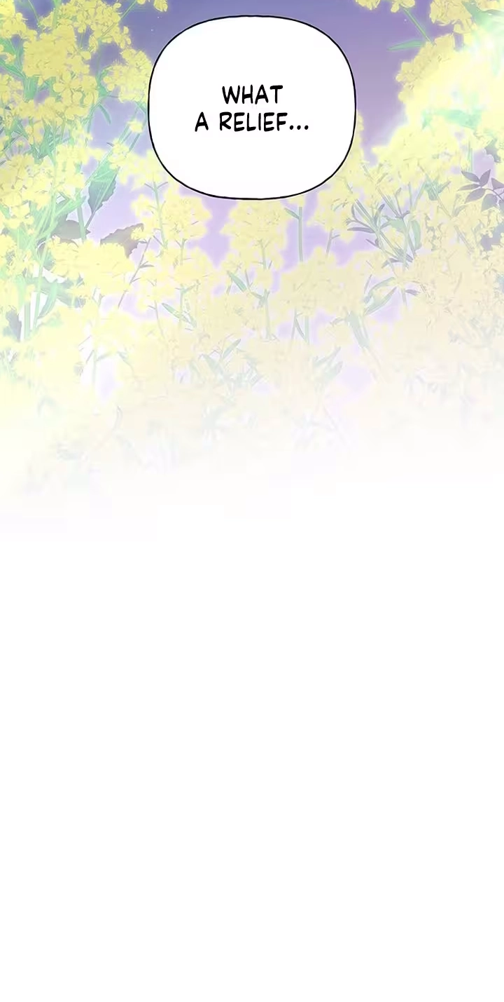 ad05b5b2b262