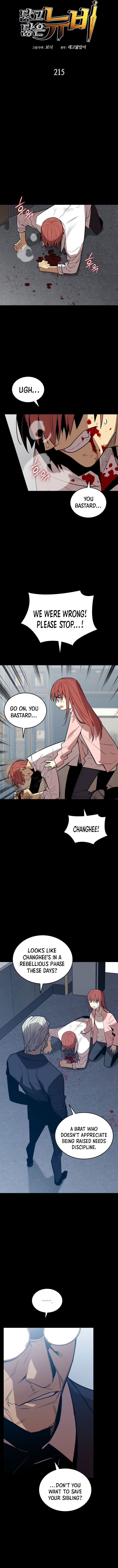 ch 215 2