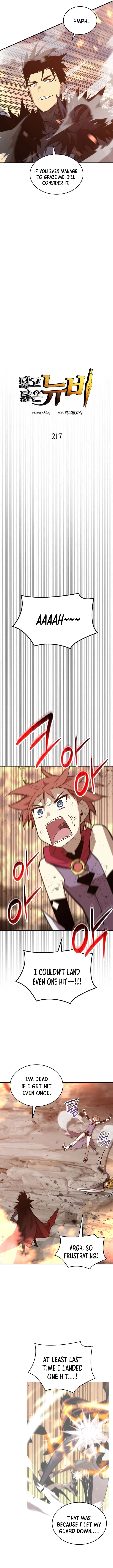 ch 217 4