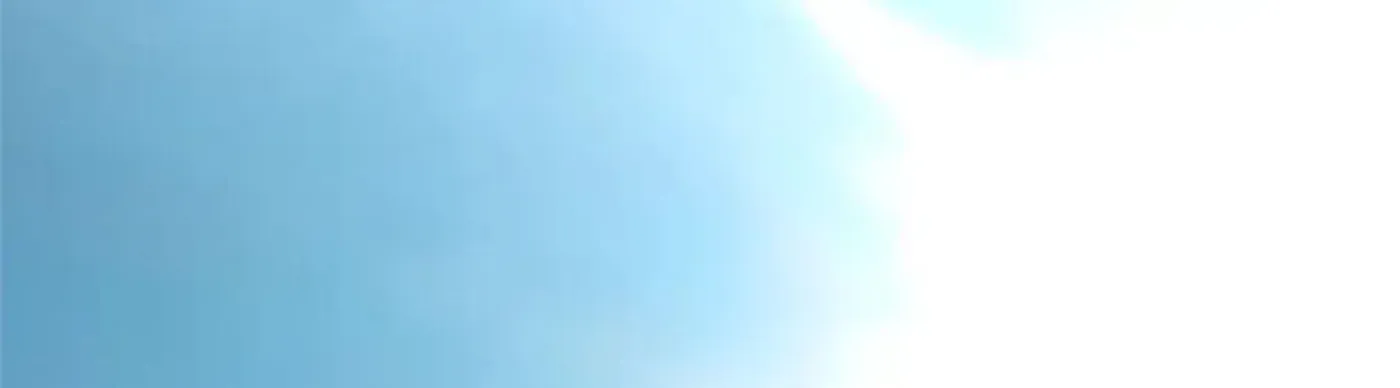 3111d2313ae4