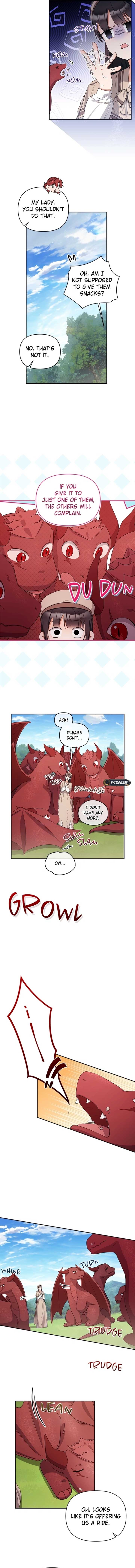 ch 11 8