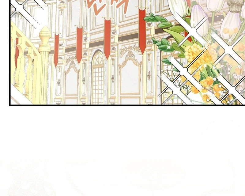 ch 11 100