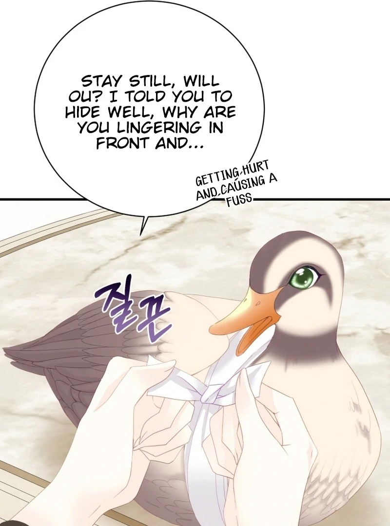 ch 11 17