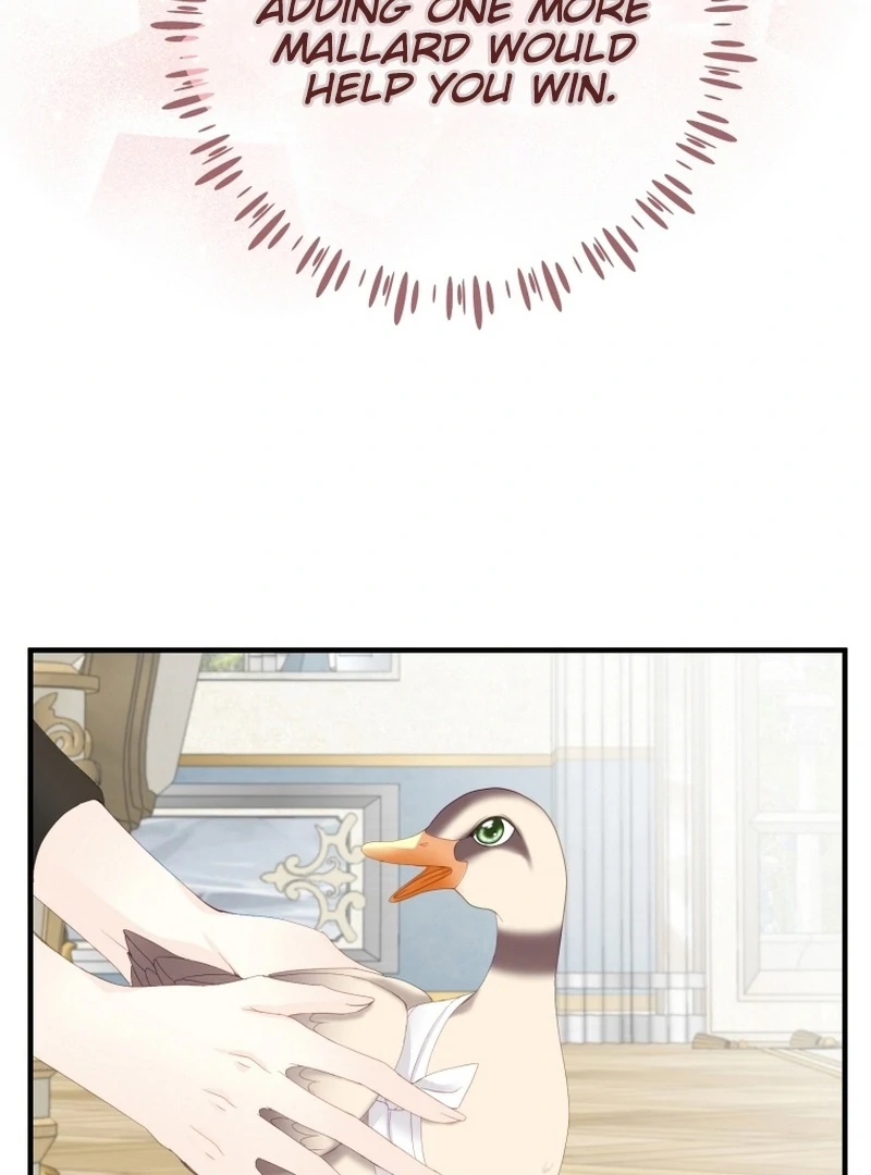 ch 11 19