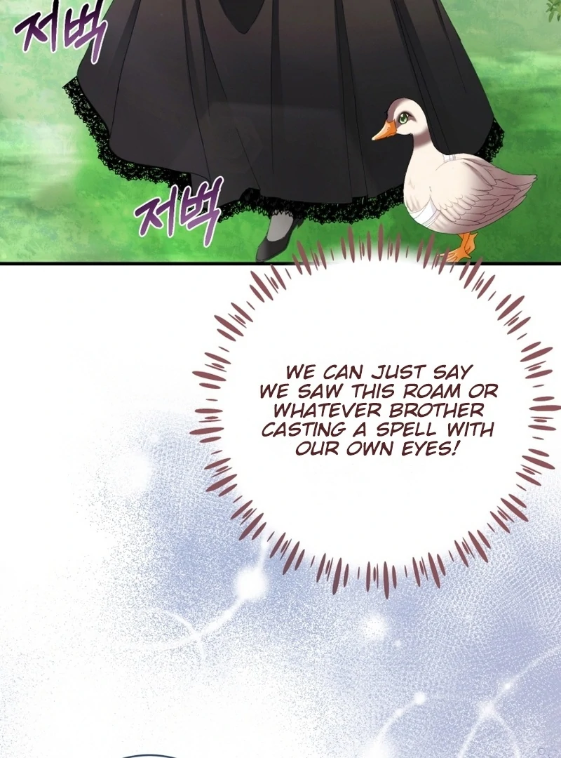 ch 11 24