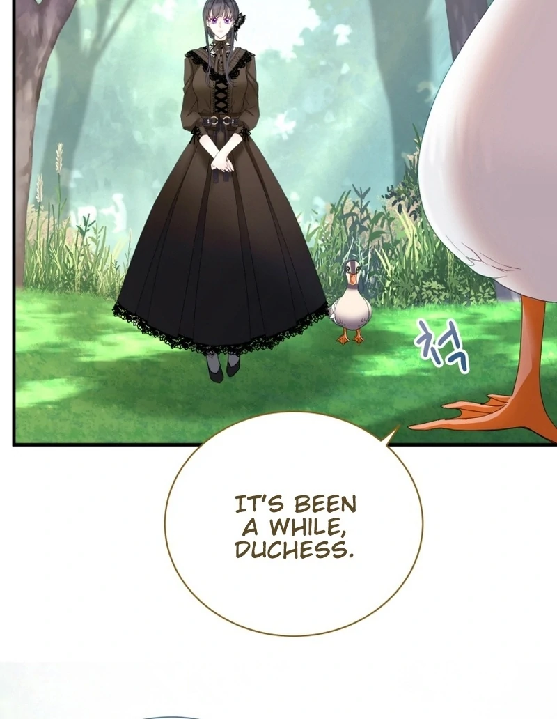 ch 11 27