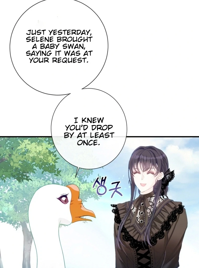 ch 11 31