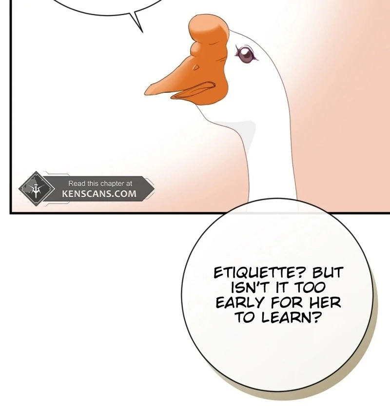 ch 11 33