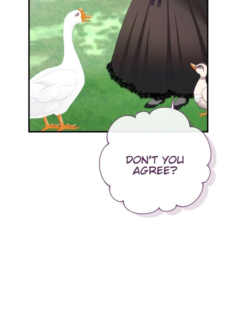 ch 11 35