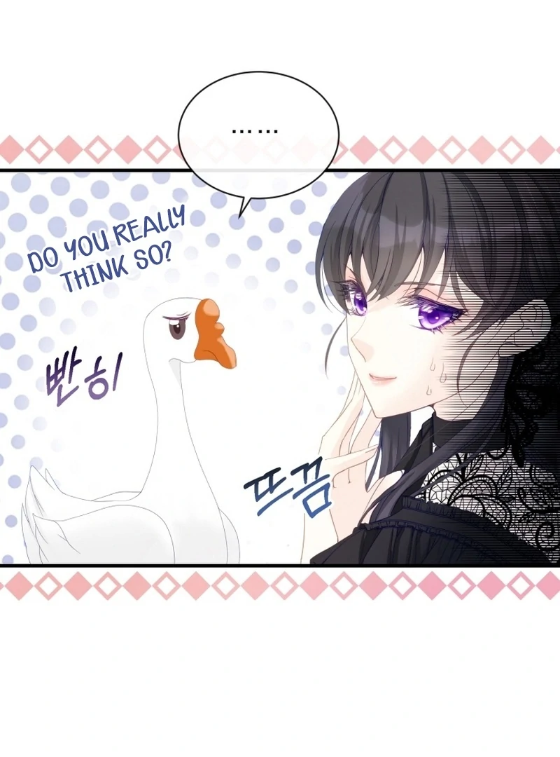 ch 11 36