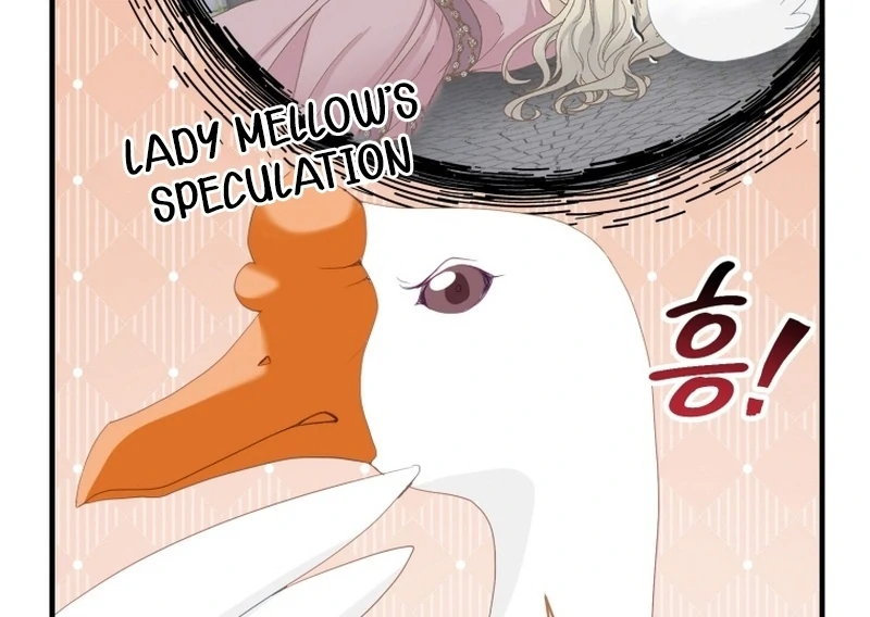 ch 11 38