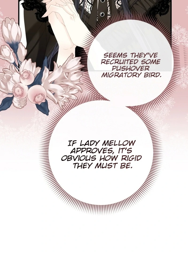ch 11 43