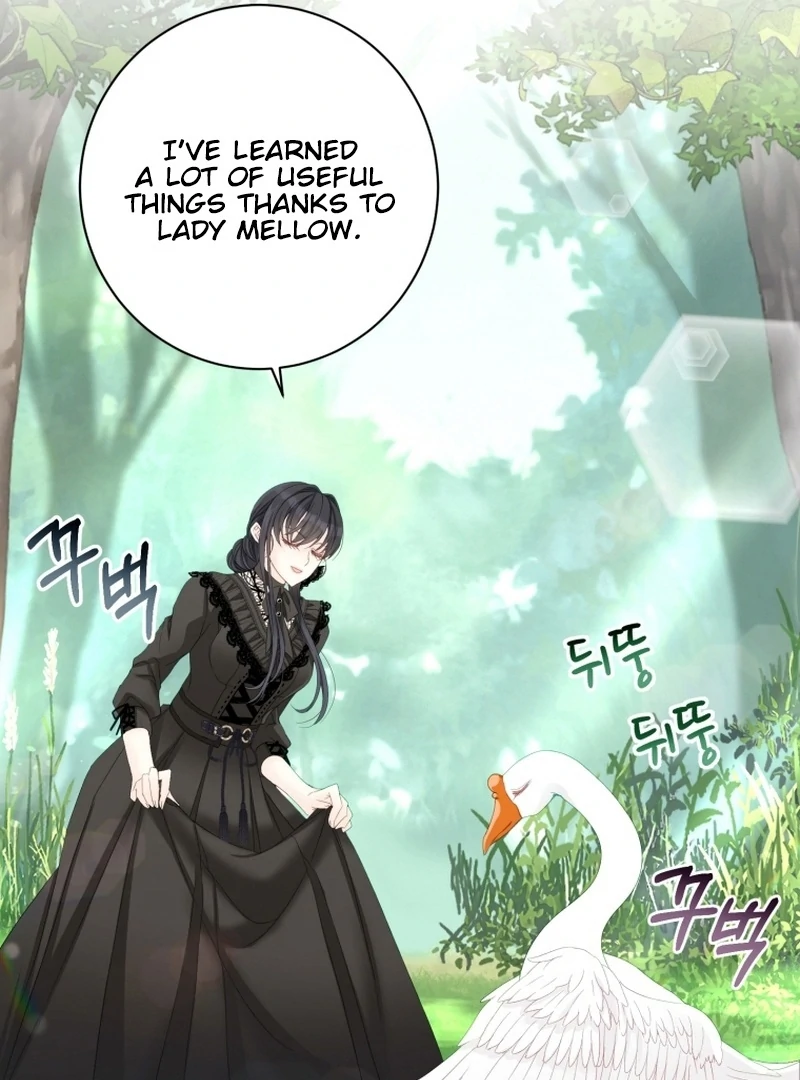 ch 11 51