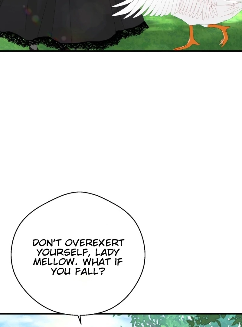 ch 11 52