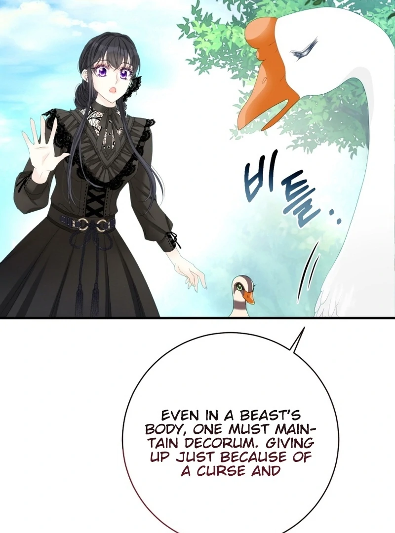 ch 11 53