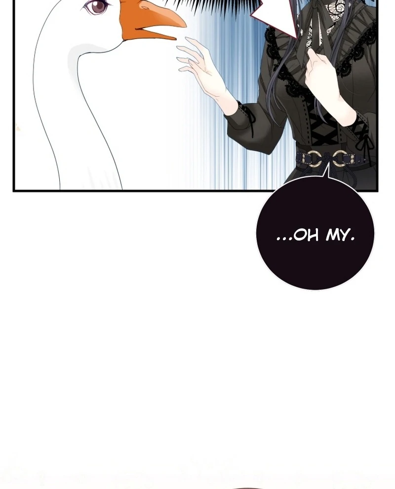 ch 11 55
