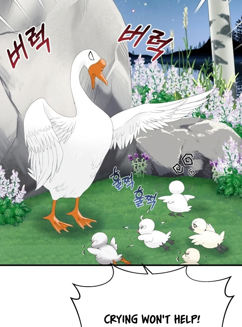 ch 11 59