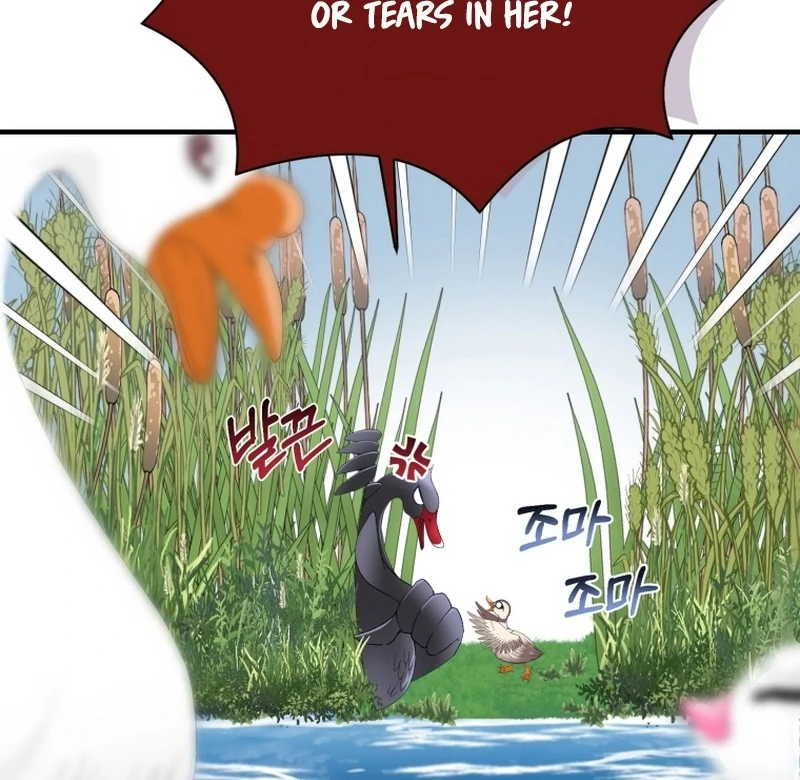 ch 11 61
