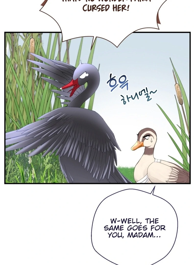 ch 11 63