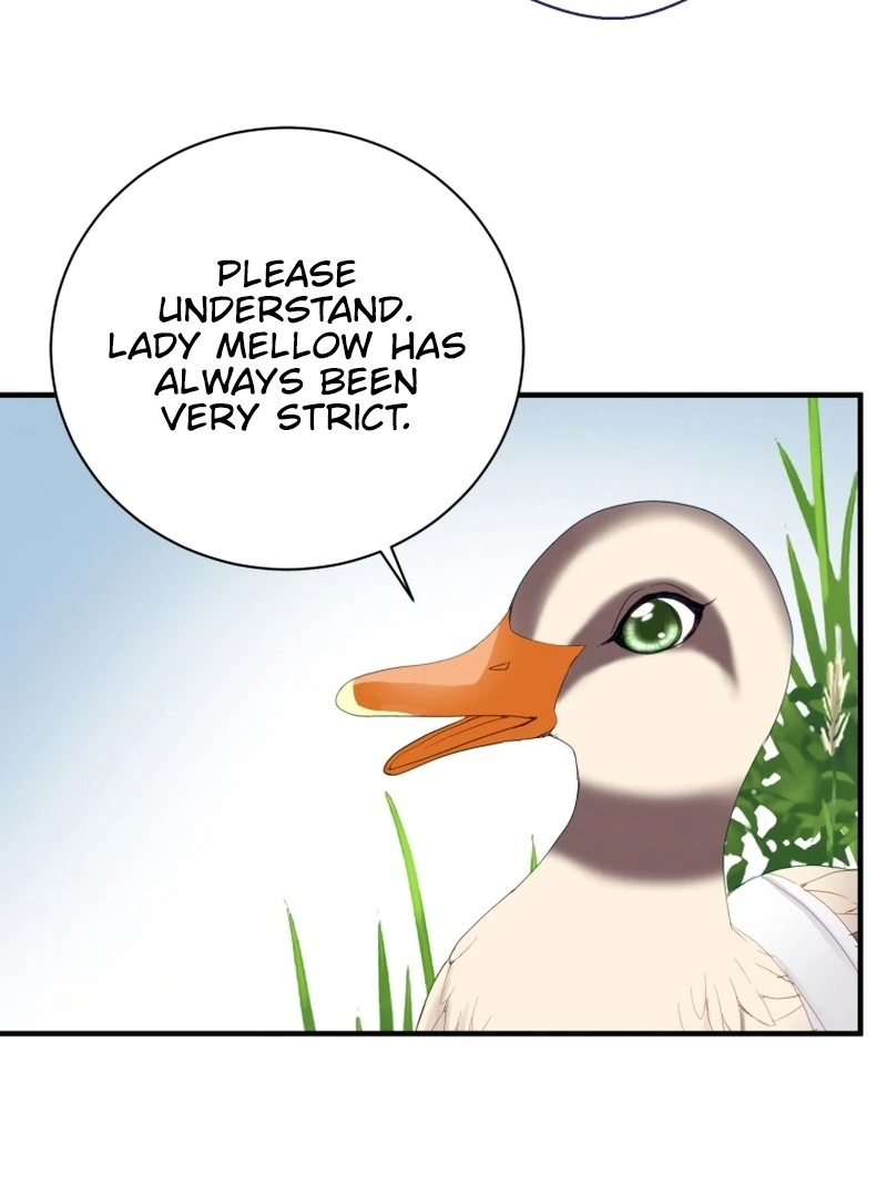 ch 11 64