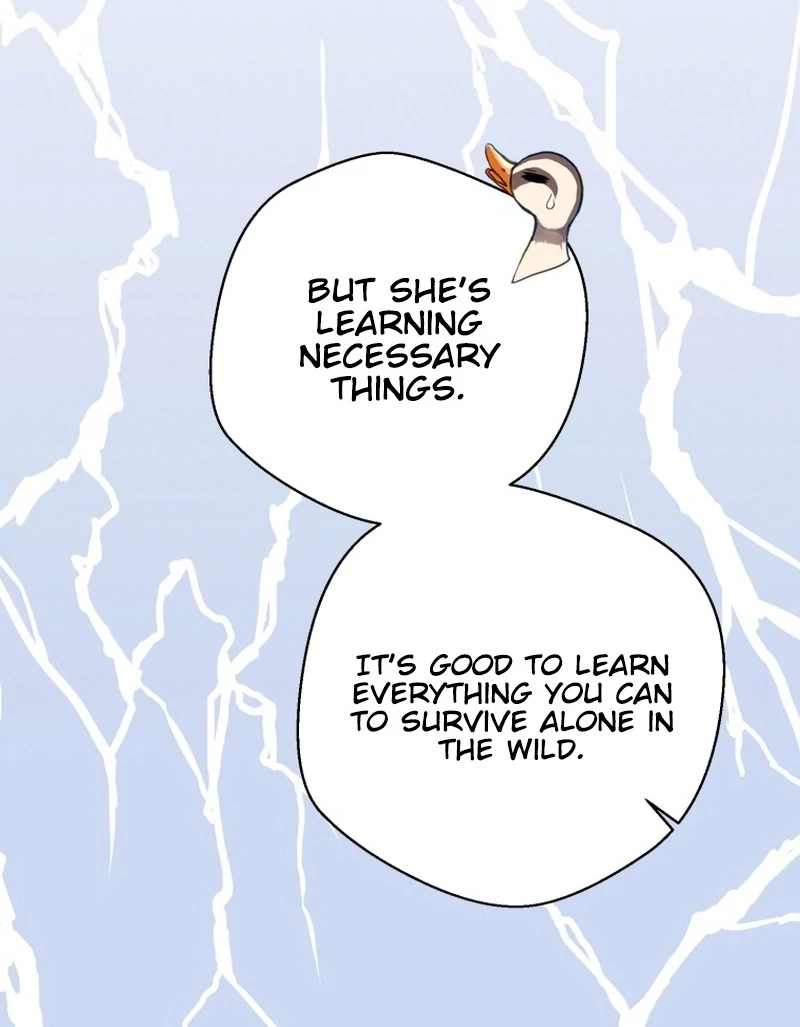ch 11 66