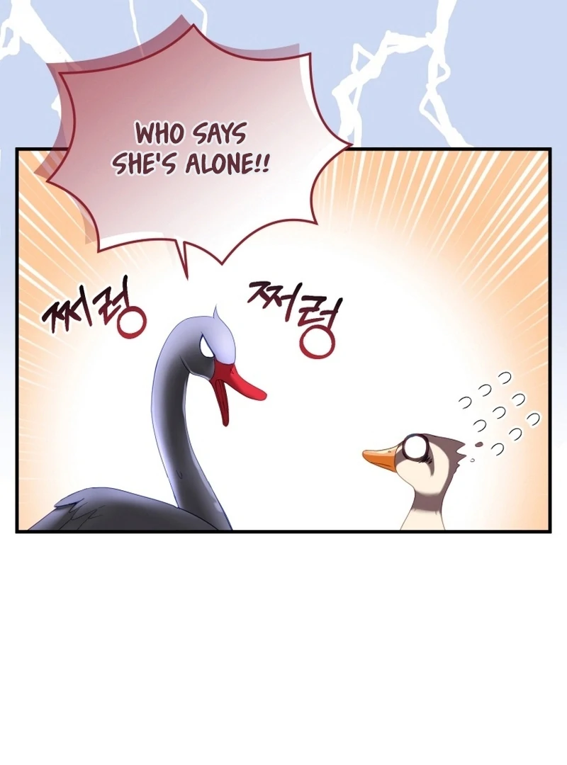 ch 11 67