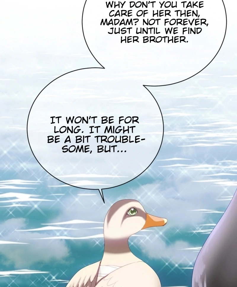 ch 11 70