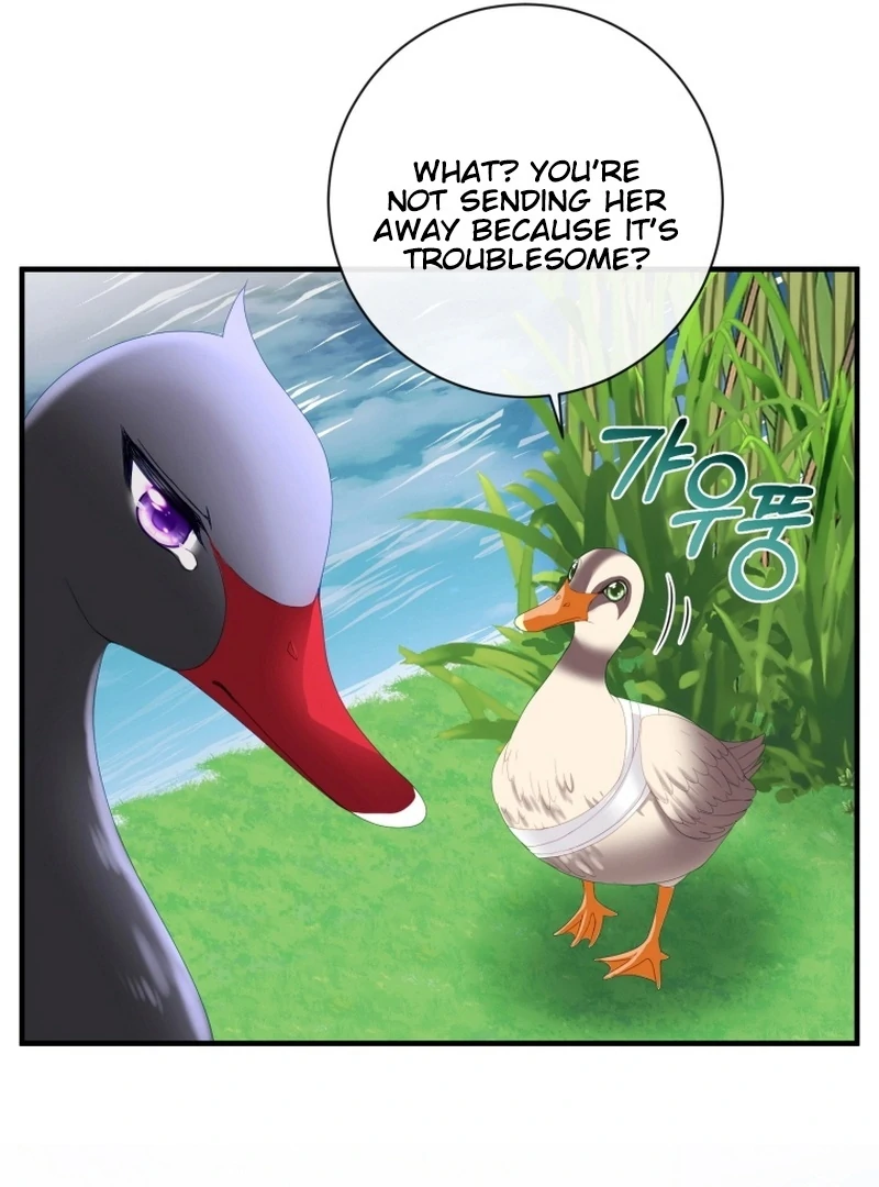 ch 11 72