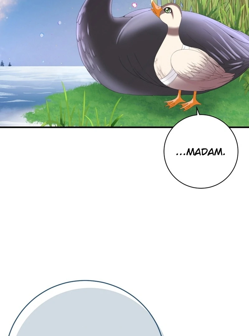 ch 11 74