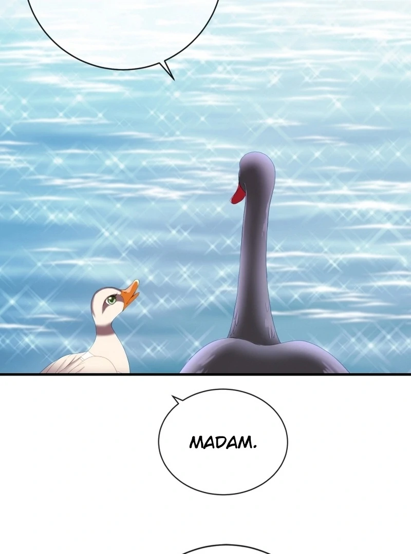 ch 11 80