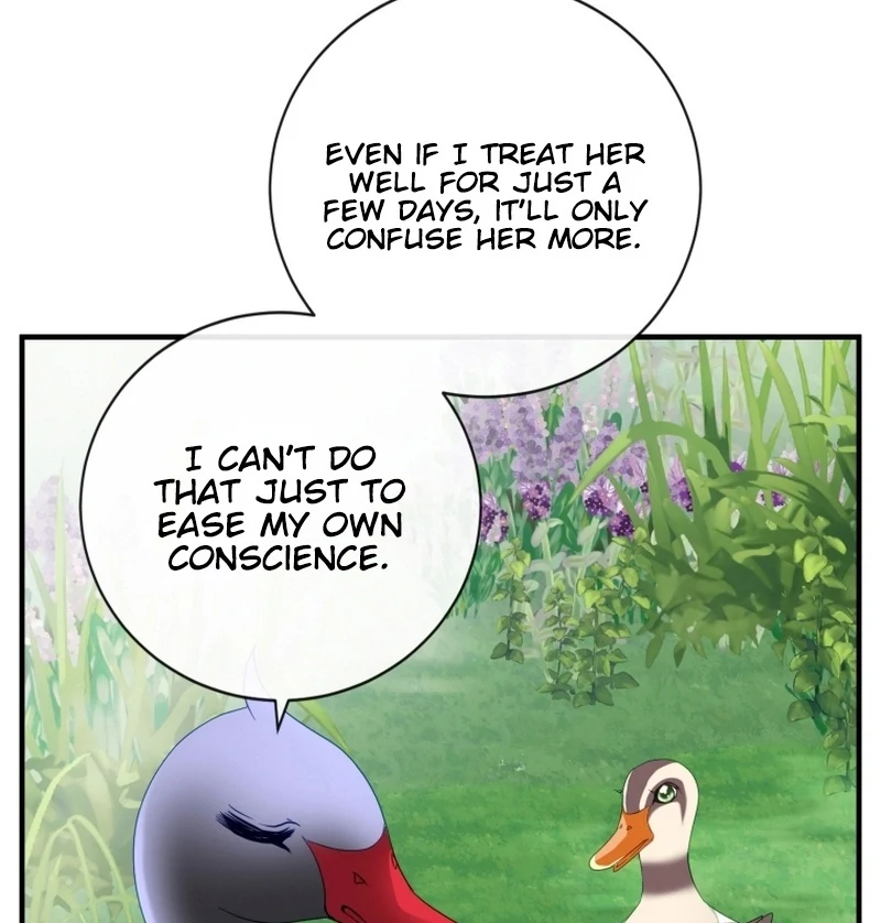 ch 11 81