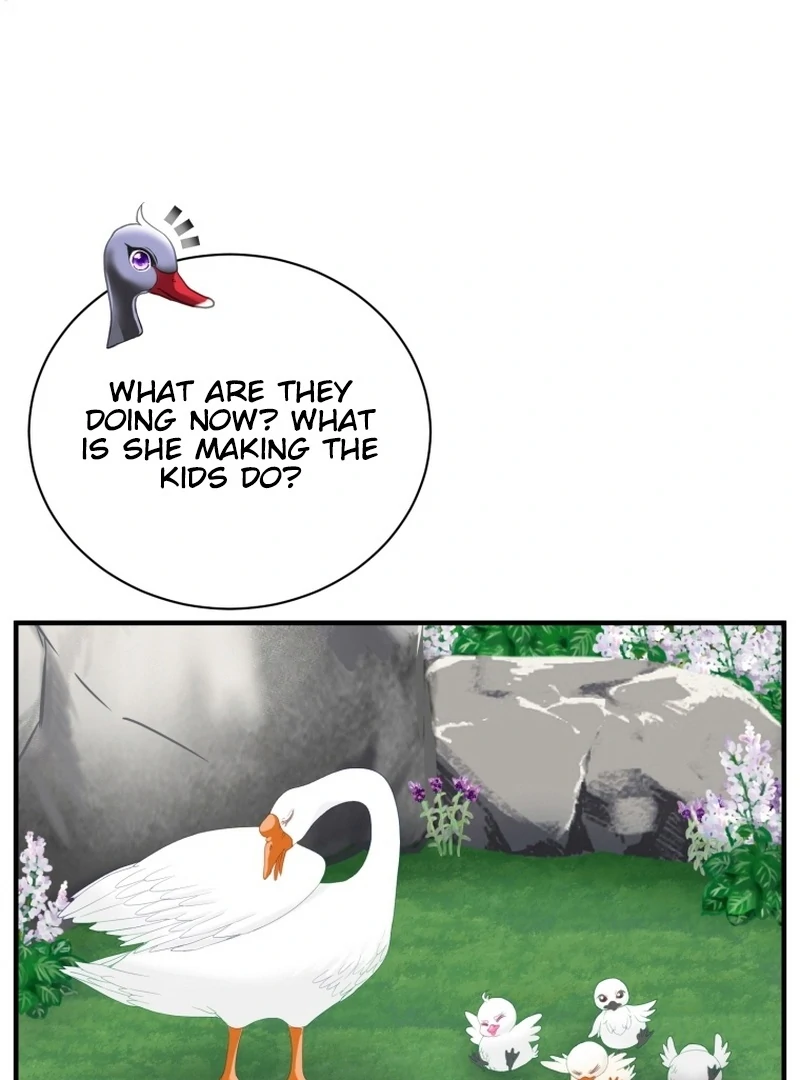 ch 11 84